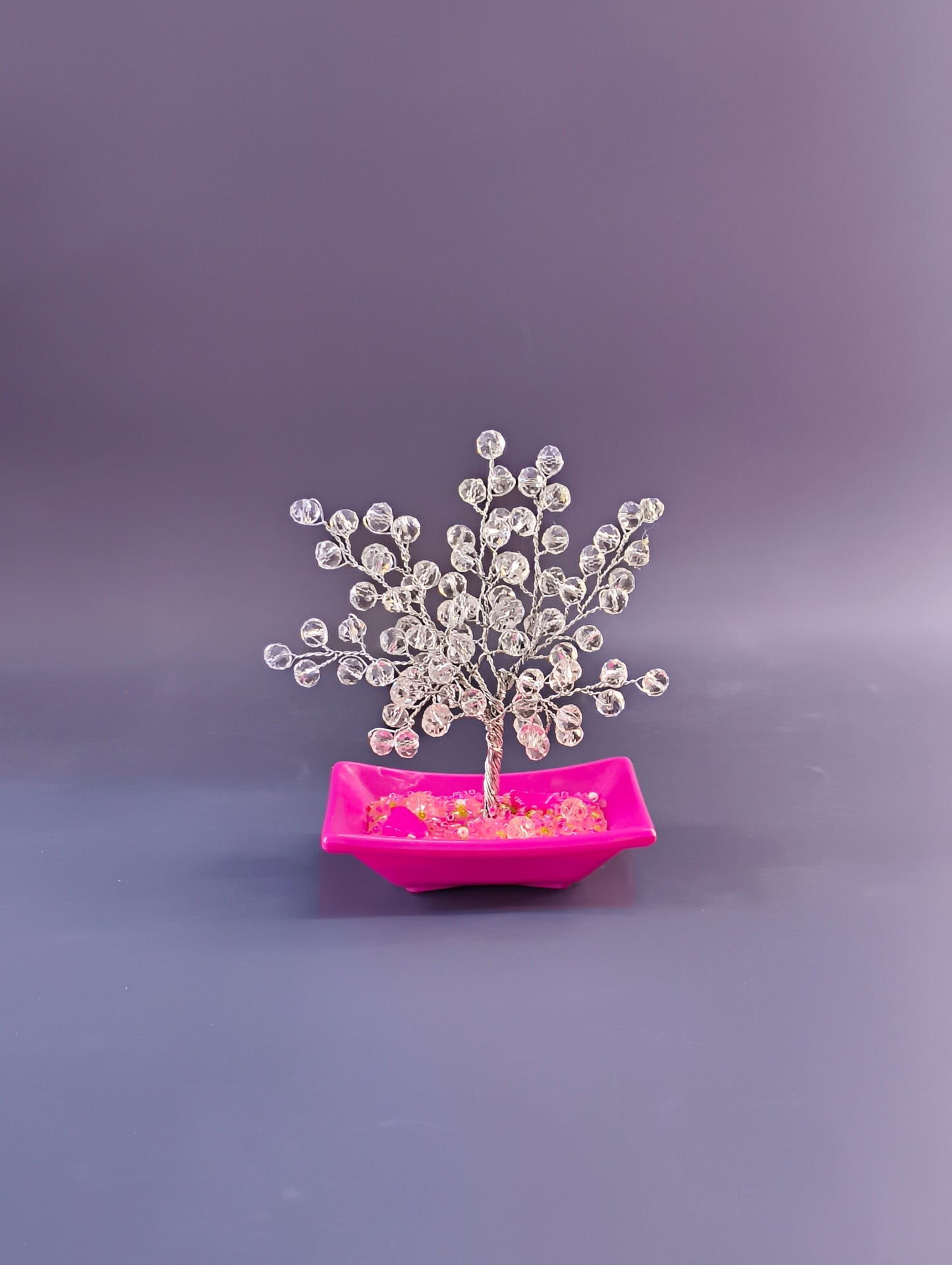 Transparent crystal plant