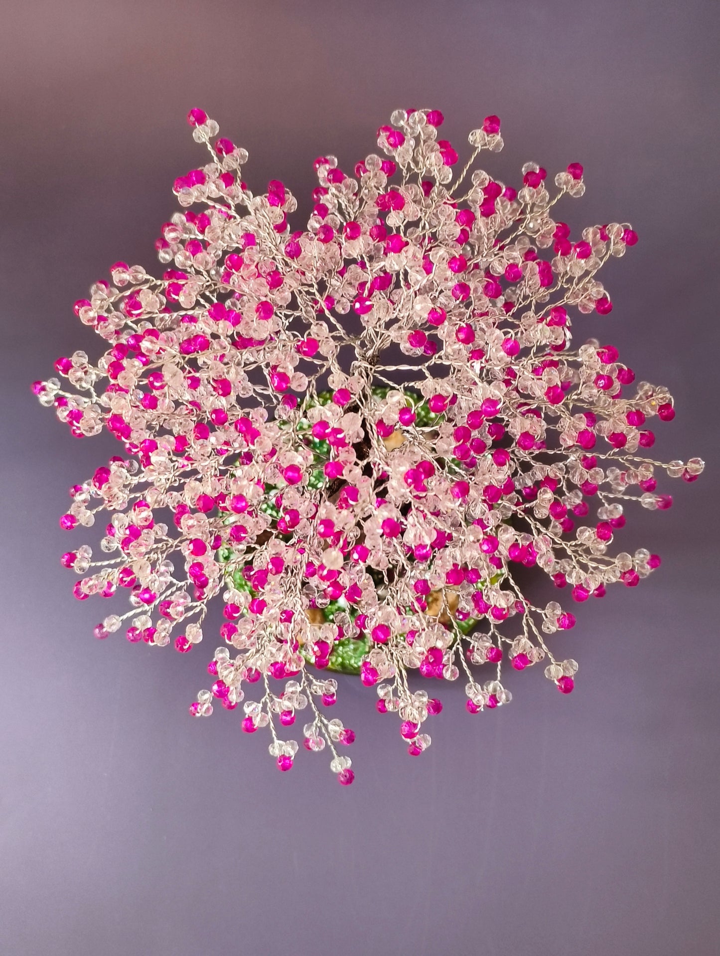 Cristal pink plant