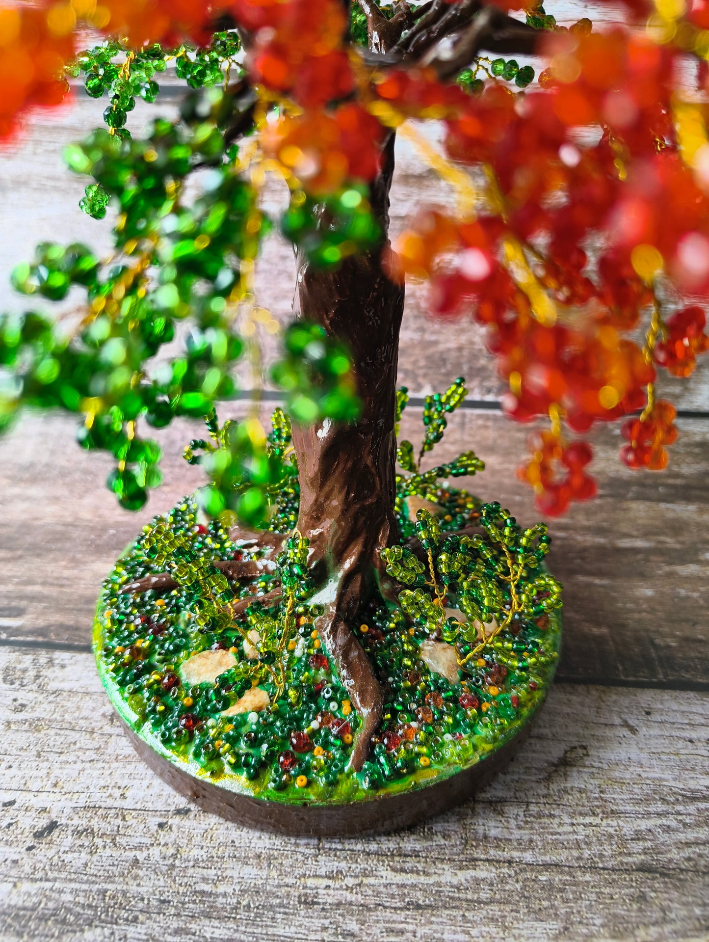 Gulmohar tree