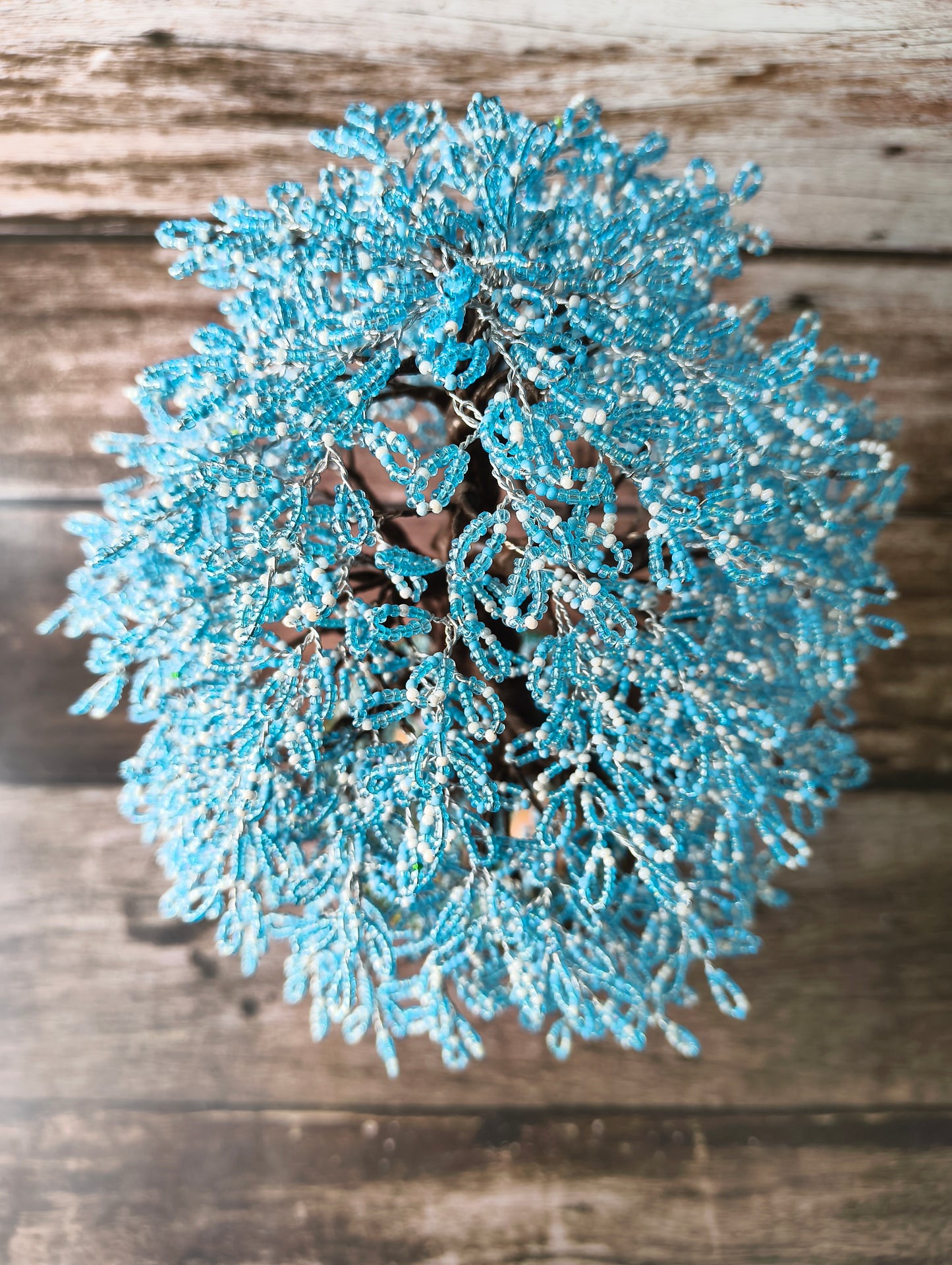 Blue blossom
