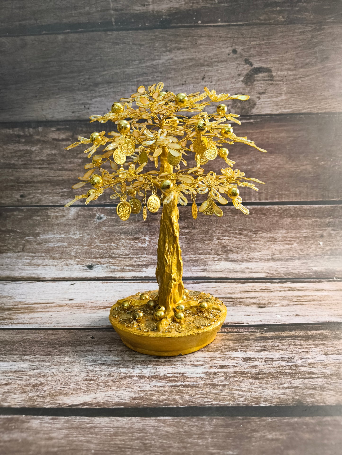 Golden Prosperity Plant