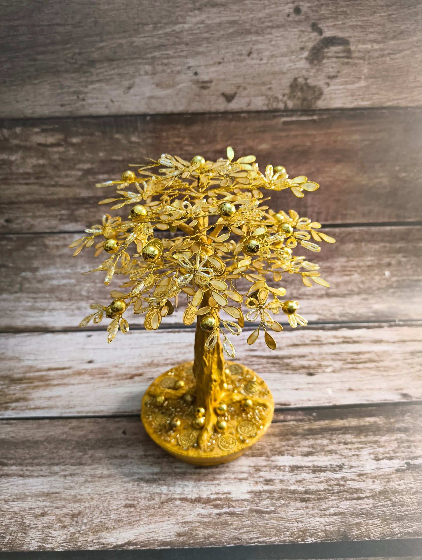 Golden Prosperity Plant