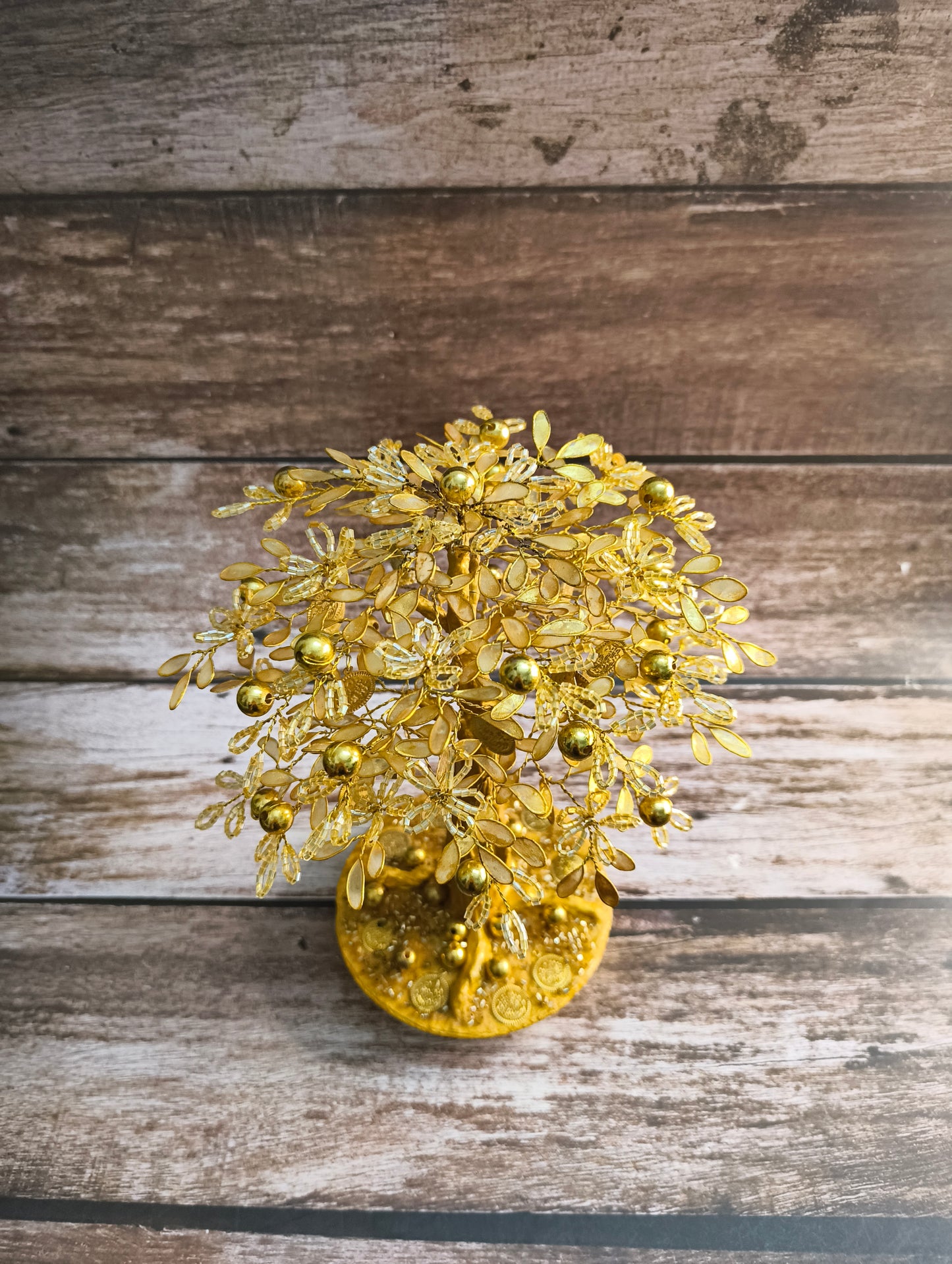 Golden Prosperity Plant