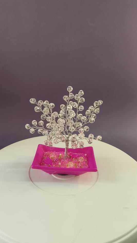 Transparent crystal plant