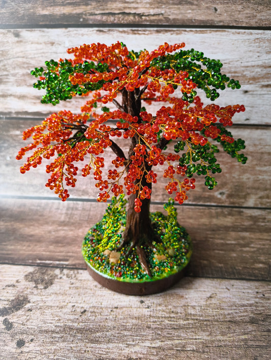 Gulmohar tree