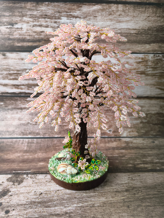 Cherry blossom